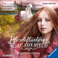 ginamayer Pferdeflüsterer-Academy. Calypsos Fohlen [6]