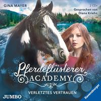 ginamayer Pferdeflüsterer-Academy 4. Verletztes Vertrauen