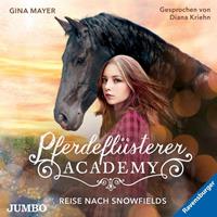 ginamayer Pferdeflüsterer-Academy. Reise nach Snowfields