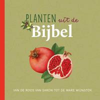 Judith Dinsmore Planten uit de Bijbel