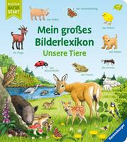 Susanne Gernhäuser Mein großes Bilderlexikon: Unsere Tiere