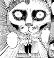 Junji Ito 's Cat Diary: Yon & Mu Collector's Edition