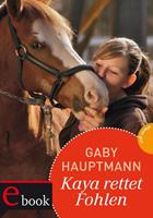 Gaby Hauptmann Kaya - frei und stark 9: Kaya rettet Fohlen