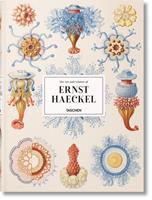 Rainer Willmann, Julia Voss The Art and Science of Ernst Haeckel