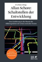 Klett Cotta Allan Schore: Schaltstellen der Entwicklung
