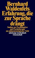 Bernhard Waldenfels Erfahrung, die zur Sprache drängt