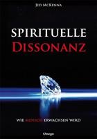 Jed McKenna Spirituelle Dissonanz
