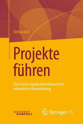 Stefan Kühl Projekte führen