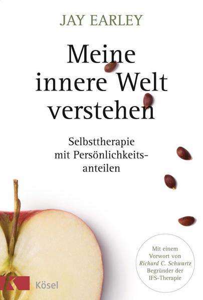 Jay Earley Meine innere Welt verstehen