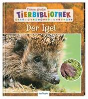 Valerie Tracqui Meine große Tierbibliothek: Der Igel