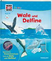 Bärbel Oftring Wale und Delfine / Was ist was junior Bd. 26