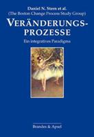 Daniel N. Stern, The Boston Change Process Study Group, Nadi Veränderungsprozesse