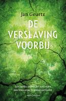 Jan Geurtz De verslaving voorbij