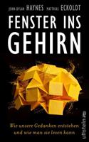 John-Dylan Haynes, Matthias Eckoldt Fenster ins Gehirn