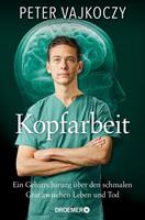Peter Vajkoczy Kopfarbeit