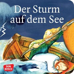 Don Bosco Medien Der Sturm auf dem See