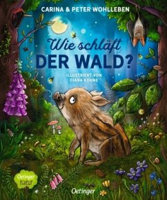 Oetinger Wie schläft der Wald℃