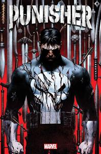 Punisher Vol. 1. Jason Aaron, Paperback