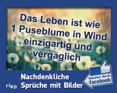 Riva Verlag Das Leben ist wie 1 Puseblume in Wind einzigartig und vergäglich, Postkartenaufsteller