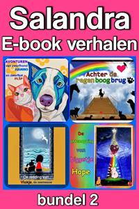 Sandra Koole Salandra E-book verhalen -   (ISBN: 9789462175198)