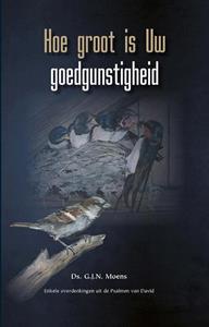 G.J.N. Moens Hoe groot is Uw goedgunstigheid -   (ISBN: 9789461151872)