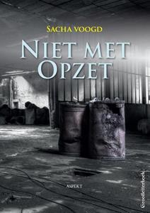 Sasha Voogd Niet met opzet - grootletterboek -   (ISBN: 9789463387439)