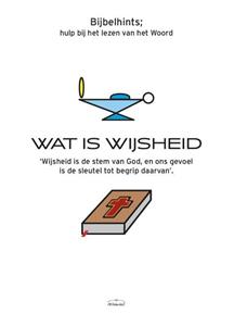 Allemiaz Wat is wijsheid -   (ISBN: 9789464062335)