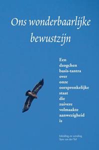 Sjon van der Tol Ons wonderbaarlijke bewustzijn -   (ISBN: 9789464355321)