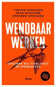 Erik Steijger, Stephen Steijger, Viktor Steijger Wendbaar werken -   (ISBN: 9789024403936)