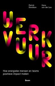 Hans van der Loo, Patrick Davidson Werkvuur -   (ISBN: 9789024406890)