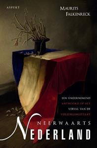 Maurits Falkenreck Neerwaarts Nederland -   (ISBN: 9789463387750)