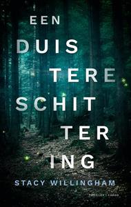 Stacy Willingham Een duistere schittering -   (ISBN: 9789403172415)