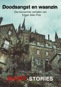Edgar Allen Poe Doodsangst en waanzin -   (ISBN: 9789462179608)