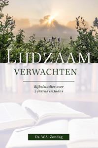 W.A. Zondag Lijdzaam verwachten -   (ISBN: 9789087186678)