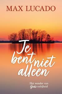 Max Lucado Je bent niet alleen -   (ISBN: 9789033802119)