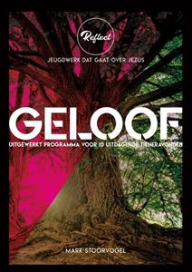 Mark Stoorvogel Geloof -   (ISBN: 9789033835650)