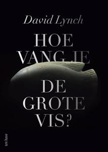 David Lynch Hoe vang je de grote vis℃ -   (ISBN: 9789025907105)