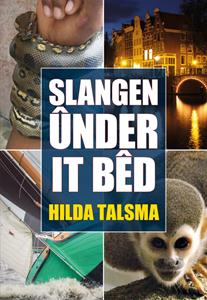 Hilda Talsma Slangen ûnder it bêd -   (ISBN: 9789089549730)