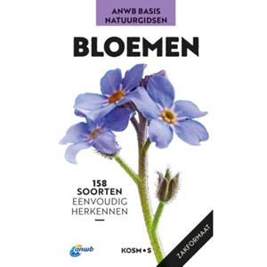 Vbk Media Bloemen - Anwb Basis Natuurgids - Eva-Maria Dreyer