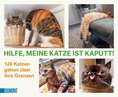 DuMont Buchverlag Gruppe Hilfe, meine Katze ist kaputt