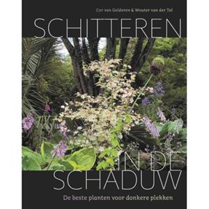 20 Leafdesdichten Bv Bornmeer Schitteren In De Schaduw - Cor van Gelderen