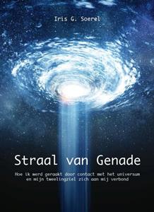 Bjorn van den Einden van Weerstand naar Wendbaarheid -   (ISBN: 9789464815474)