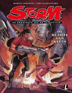 Martin Lodewijk Storm 4 De ruimte van Klein -   (ISBN: 9789088868429)