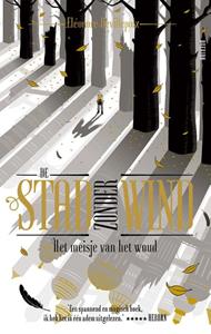 Eléonore Devillepoix De stad zonder wind -   (ISBN: 9789045129693)