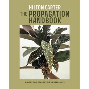 Ryland Peters The Propagation Handbook