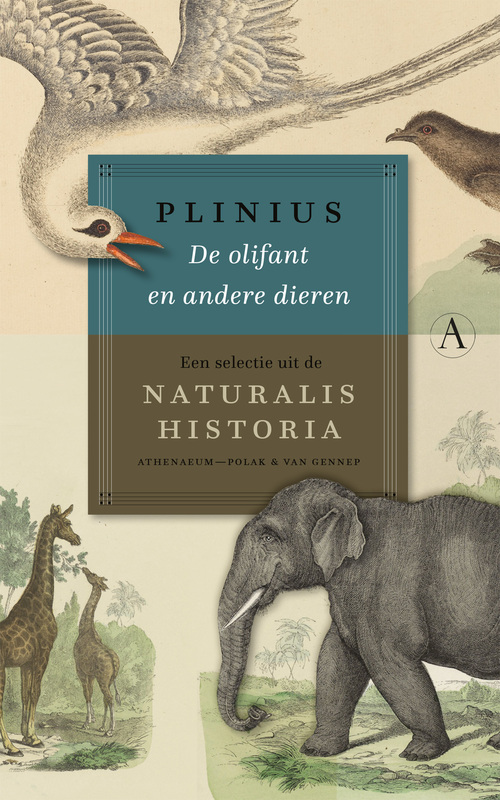 Plinius De olifant en andere dieren -   (ISBN: 9789025317195)