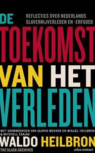 Waldo Heilbron De toekomst van het verleden -   (ISBN: 9789045050812)