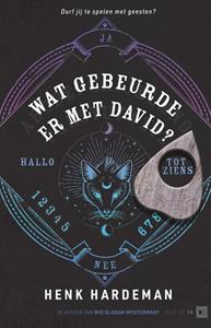 Henk Hardeman Wat gebeurde er met David? -   (ISBN: 9789000383481)