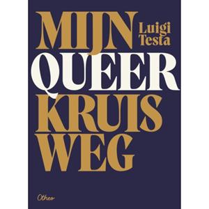 Luigi Testa Mijn queer kruisweg -   (ISBN: 9789085287841)