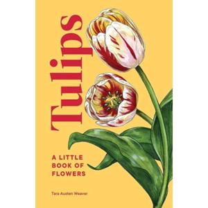 Van Ditmar Boeken B.V. Tulips - Little Book Of Natural Wonders - Tara Austen Weaver